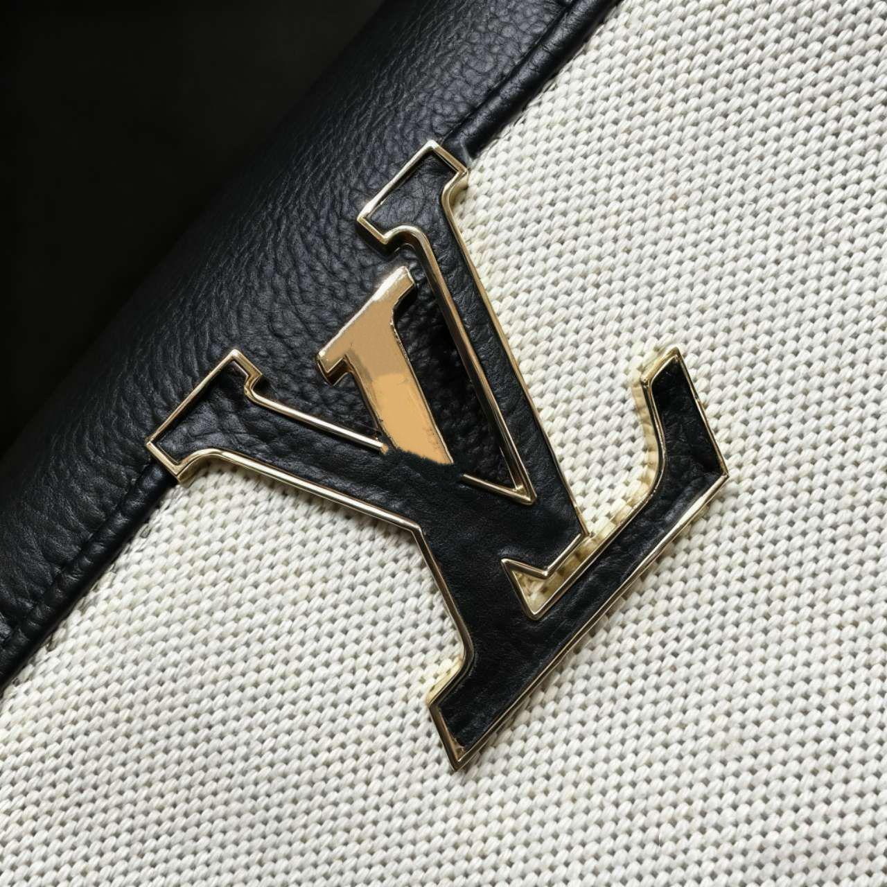 LOUIS VUITTON female bag