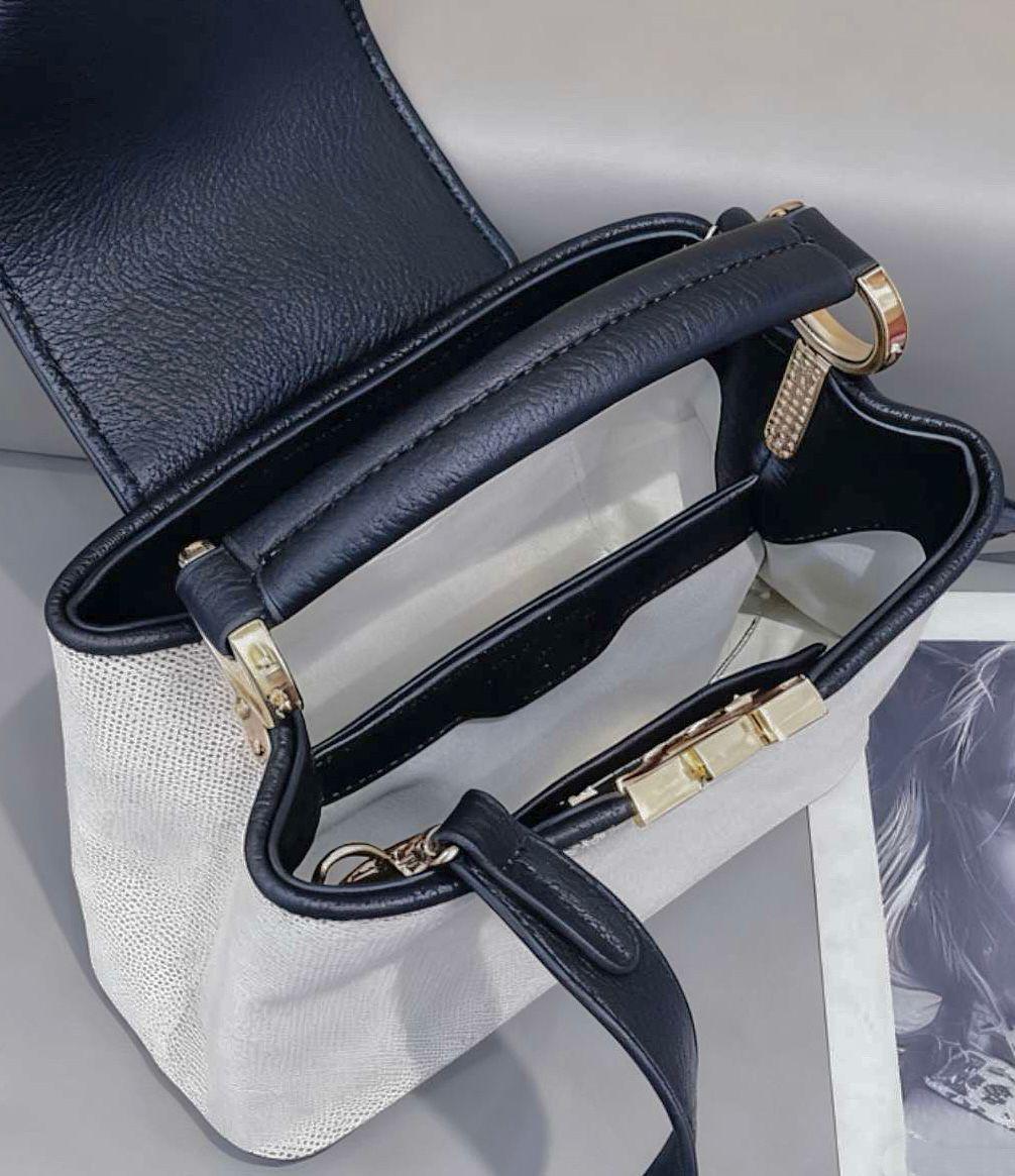 LOUIS VUITTON female bag