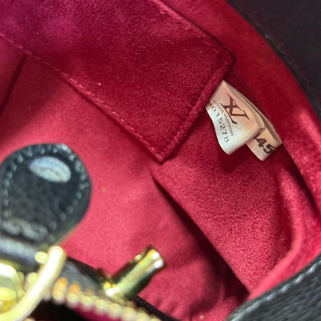 LOUIS VUITTON female bag